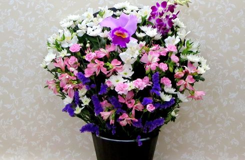 洋花
