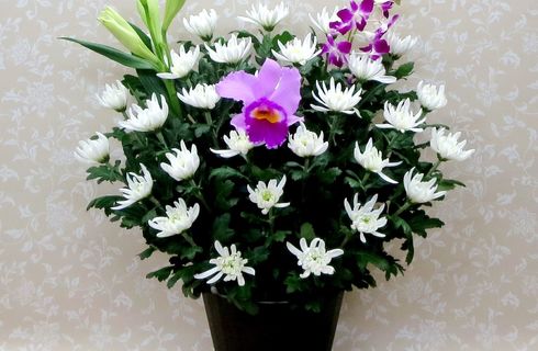 和花